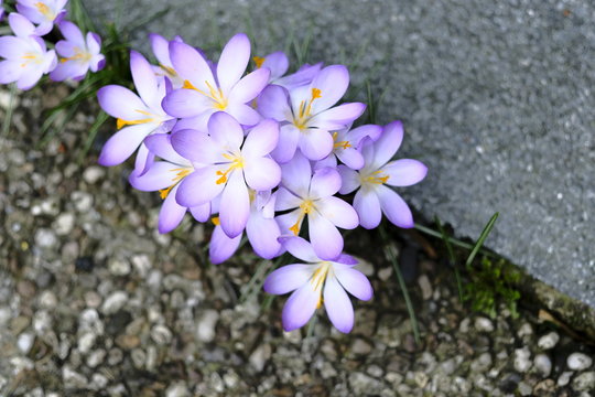 Ritterhude Bilder Durchsuchen 515 Archivfotos, und