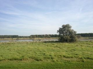 Fototapeta premium Flat grassy countryside with a river