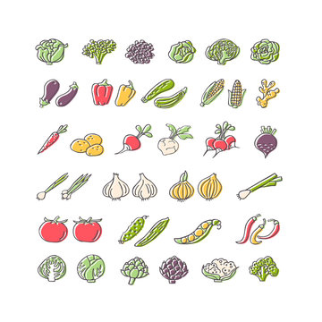 Vegetables hand drawn icon set in flat style
