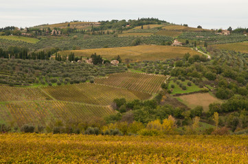 Fototapeta na wymiar Scenic Tuscany landscape in Italy