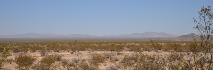 Naklejka premium southwest landscape