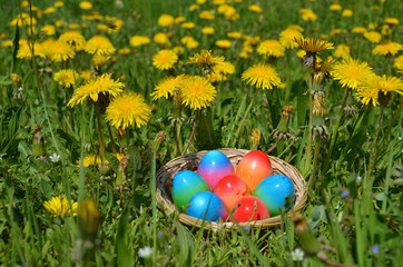 Easter eggs in the grass