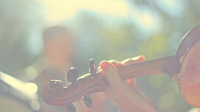 man playing the violin With tree in the background