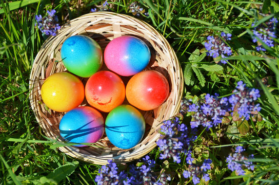 Easter eggs in the grass