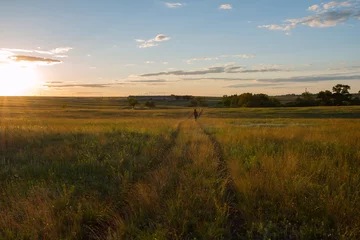 Foto op Plexiglas Traveler walks along the prairie in the rays of the setting sun © sanechka