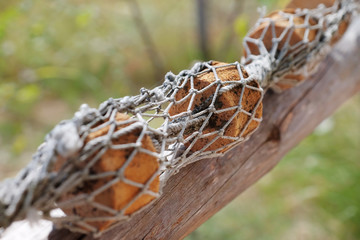 Fishing net on natural background
