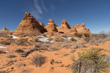 Vermillion Cliffs National Monument