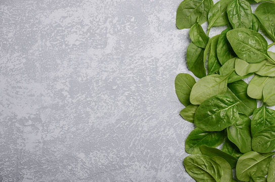 Fresh green spinach leaves on a grey concrete background, top view, copy space.