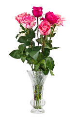 Bunch of pink roses in vase