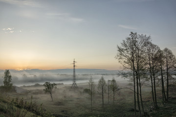 Fototapeta na wymiar summer fog in the village