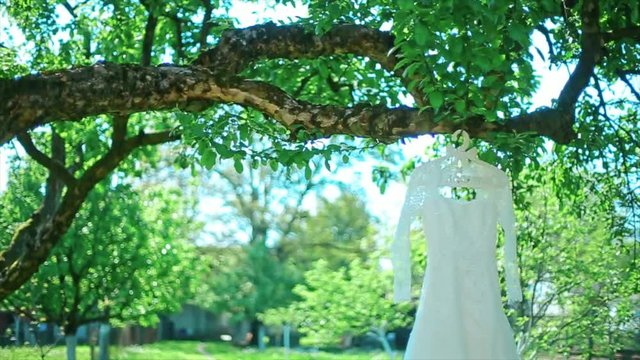 The Wedding White Dress Hangs on Tree in the sunlight