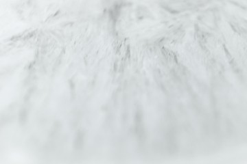 Abstract blur defocused empty white pure background texture