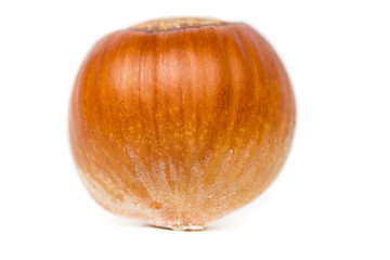 hazelnut close-up on white