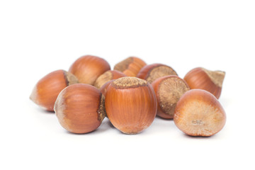 hazelnut close-up on white