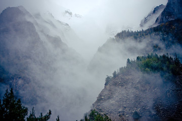 Mist in Forest in mountains valley Himalayas