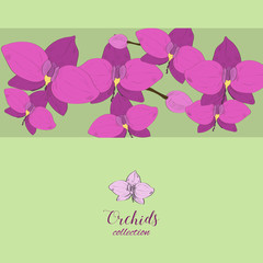 Hand drawn orchid blossom. An idea for package design.