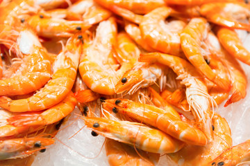 Pile of red fresh shrimps
