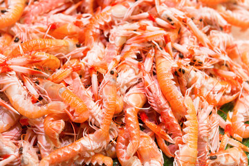Pile of red fresh shrimps
