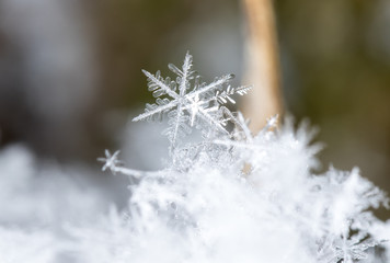natural snowflakes on snow, photo real snowflakes during a snowfall, under natural conditions at low temperature