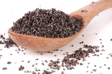 poppy seeds in a wooden spoon isolated on white background