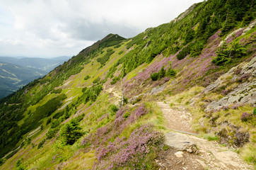 Naklejka premium krkonose / karkonosze mountain in Czech Republic