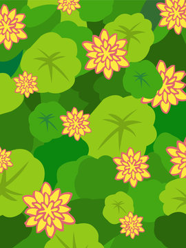 Vector Waterlilies Flower Illustration Background