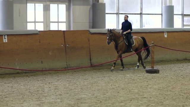 A man riding a brown horse around the arena. . Don horse breed.