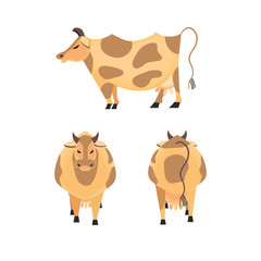 Domestic Animal icon set. Dairy cattle sign. Freehand drawn cartoon style. Vector Milk cow symbol. Side view, front, back. Mammals element for poster background. Farming cow with udder, horns, hoofs