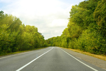 Empty asphalt road in green forest, summer travel landscape, traveling and nature background with sunshine