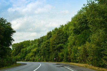 Fototapeta na wymiar Empty asphalt road in green forest, summer travel landscape, traveling and nature background
