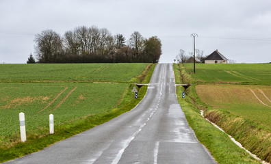 Empty Country Road