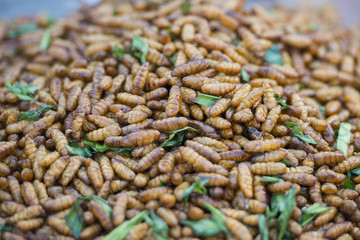 THAILAND LAMPANG CITY FOOD INSECTS