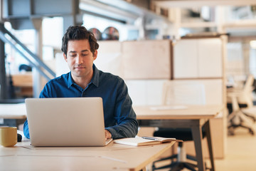 Young professional at work on a laptop in an office