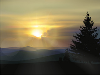  Nature background. Panorama of wild mountains. Pine trees. Sunset. Natural grey and yellow tones.