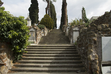 Fototapeta na wymiar grave in cemetery - rome - laurentino