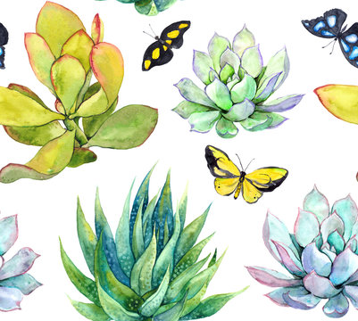 Succulents and butterflies. Tiled background. Watercolor