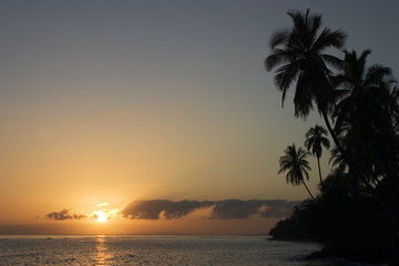 Fototapeta na wymiar Palm trees and a Maui sunset