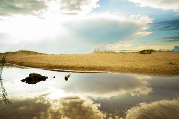 Fototapeta premium Beautiful summer landscape of the coast of the Baltic Sea