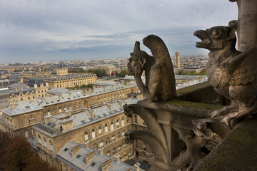 Gargoyle, Notre Dame, Paris, France