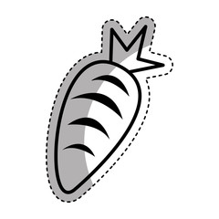 carrot vegetable isolated icon vector illustration design