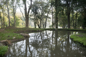 THAILAND LAMPANG JAESORN HOTSPRINGS