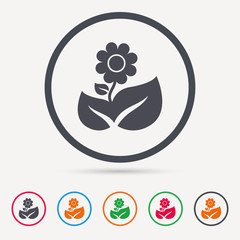 Flower icon. Florist plant with leaf symbol. Round circle buttons. Colored flat web icons. Vector