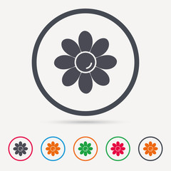 Flower icon. Florist plant with petals symbol. Round circle buttons. Colored flat web icons. Vector
