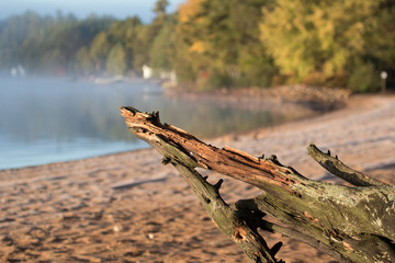 Driftwood on Round Lake Beach