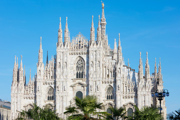 Milan Duomo cathedral with palm trees, blue sky