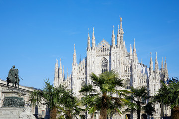 Fototapeta na wymiar Milan Duomo cathedral with palm trees, blue sky in a sunny day