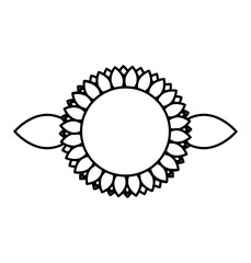 cute sunflower isolated icon vector illustration design