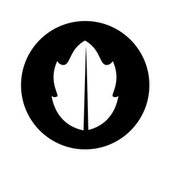 leaf plant ecology symbol vector illustration design