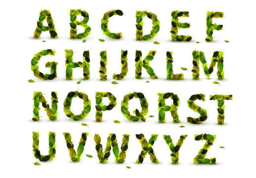 Green Leaf Alphabet Set