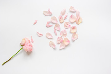 Obraz na płótnie Canvas Spring trandy design with macaroons and blossom white background top view mock-up